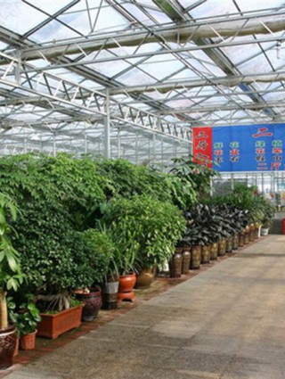青州国际花卉市场施工
