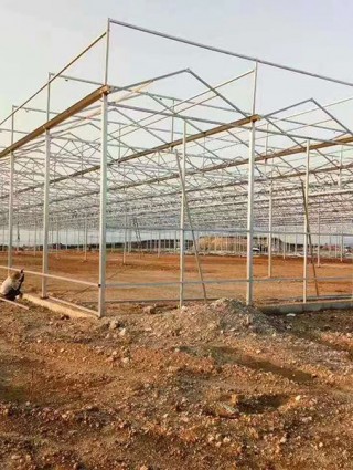 吉林省白城洮南富顺乡15000平米连栋薄膜温室