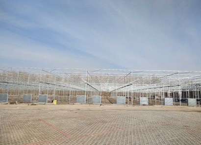 吉林省白城洮南富顺乡15000平米连栋薄膜温室