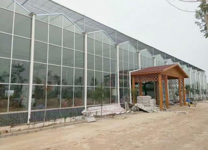 江西省赣州赣县江口镇，全玻璃温室