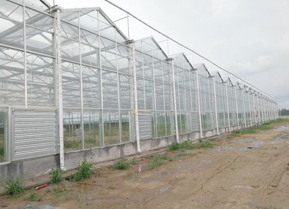 甘肃省玉门花海镇2240 平生态温室